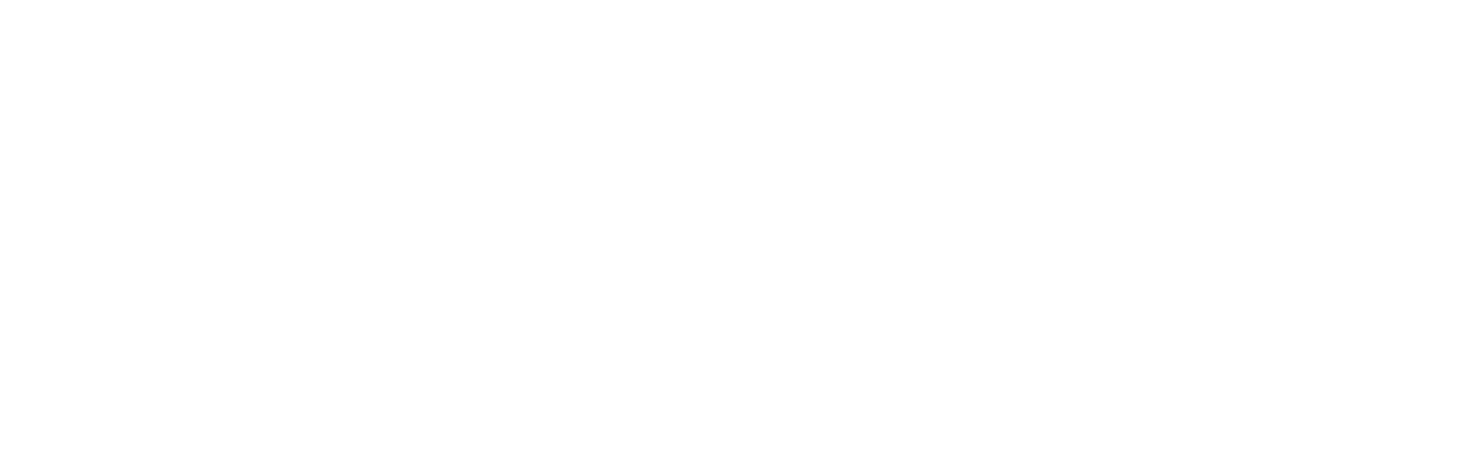 Rana Rekor Ali